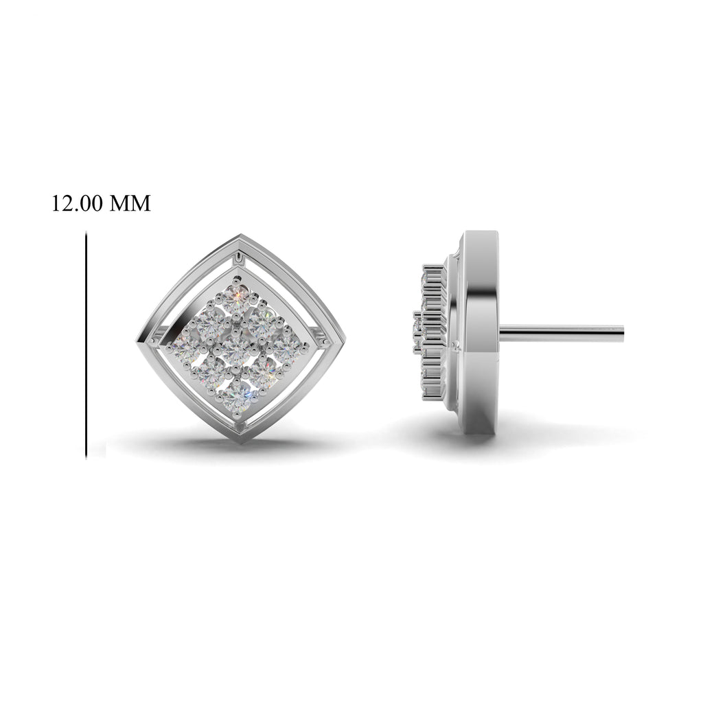 Twin Cluster Silver Studs Earring
