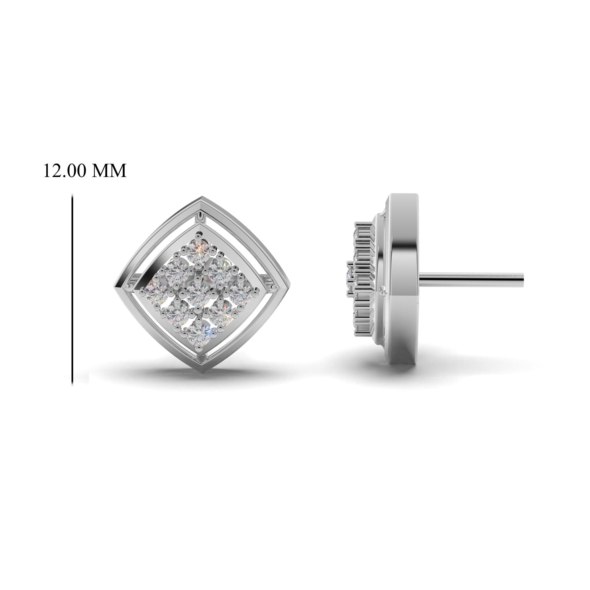 Twin Cluster Silver Studs Earring